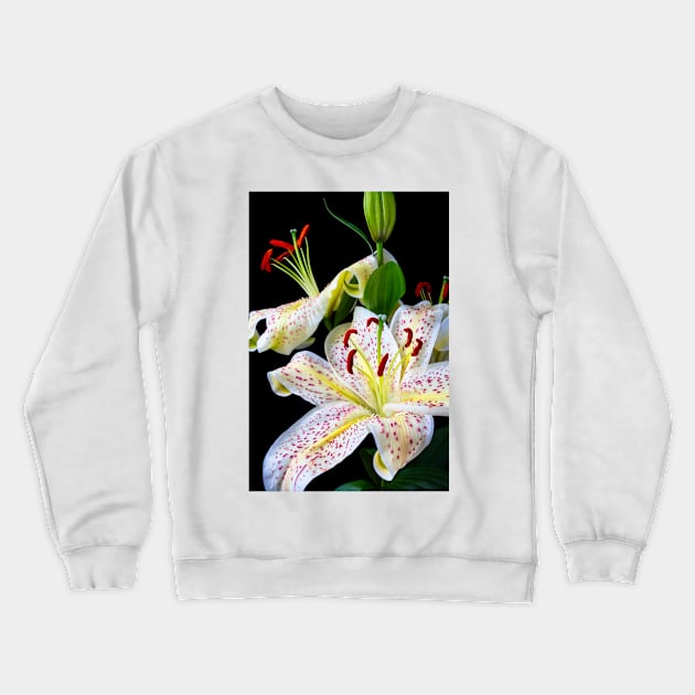 Wonderful Close Up Of Sonata Three Stem lily Crewneck Sweatshirt by photogarry